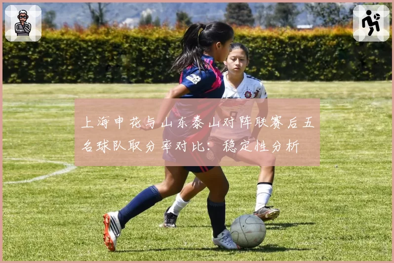 上海申花与山东泰山对阵联赛后五名球队取分率对比：稳定性分析